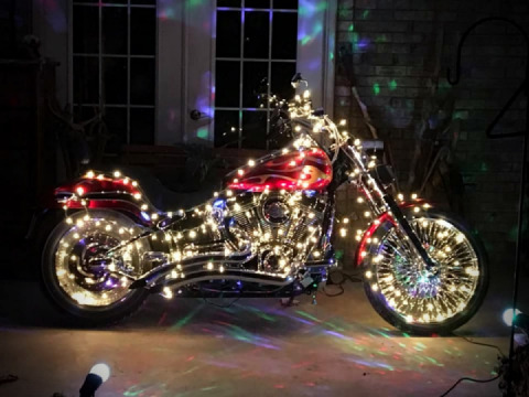 When there’s no room inside for a tree...?✨?