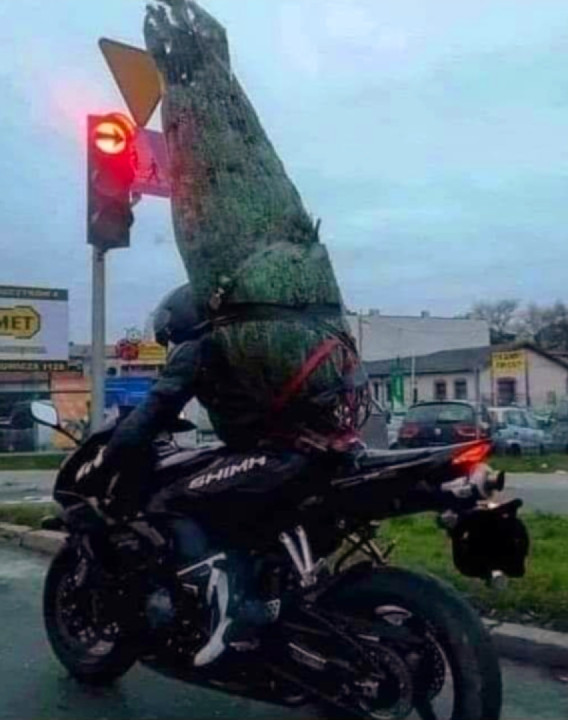 I swear, that's how it went ?!