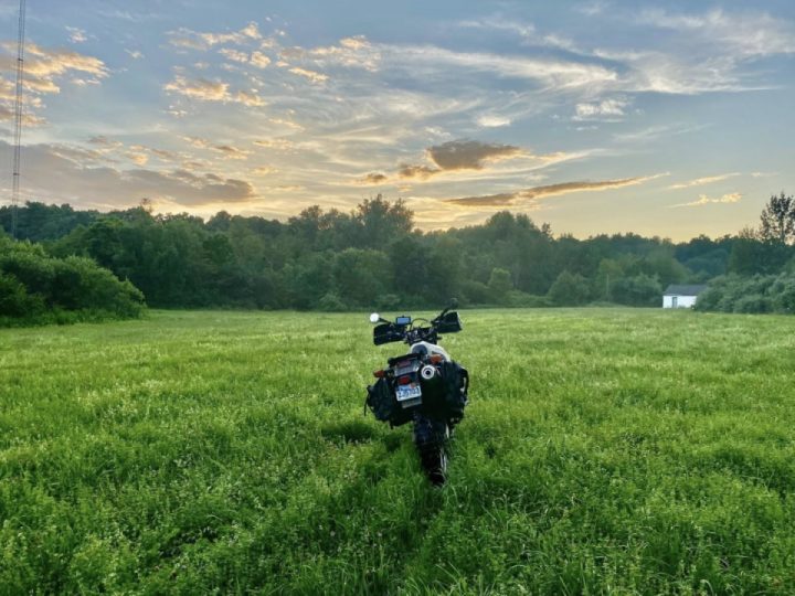 If there are greener pastures, it us likely I will find them