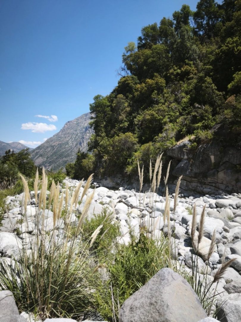 A few days ago camping in Chile including a national park visit