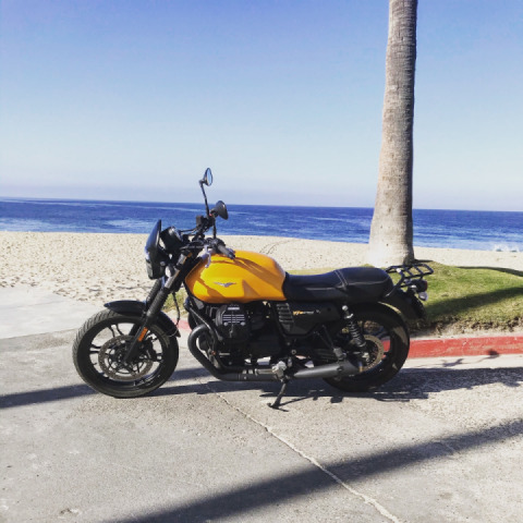 Beautiful Morning on PCH ?☀️