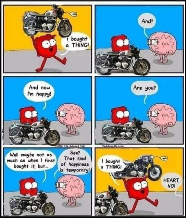 How many bikes do you need to be happy?