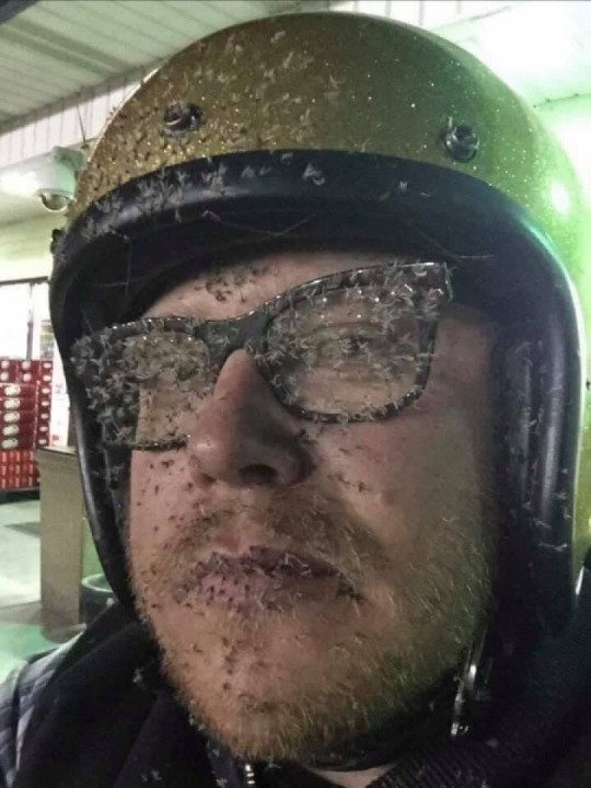 That’s it… I’m done with open face helmets!