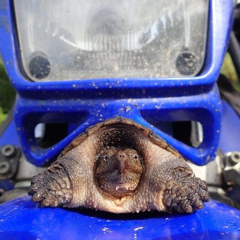 I think I may have figured out why my bike is slow and heavy