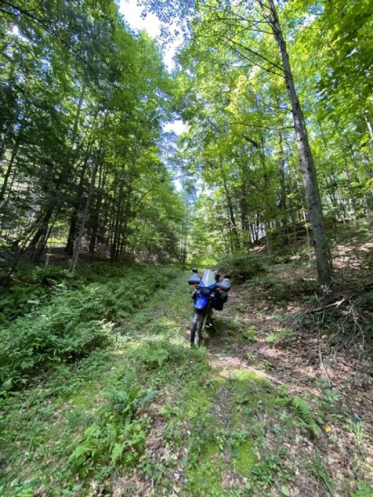 Backroads, bridges and beyond.