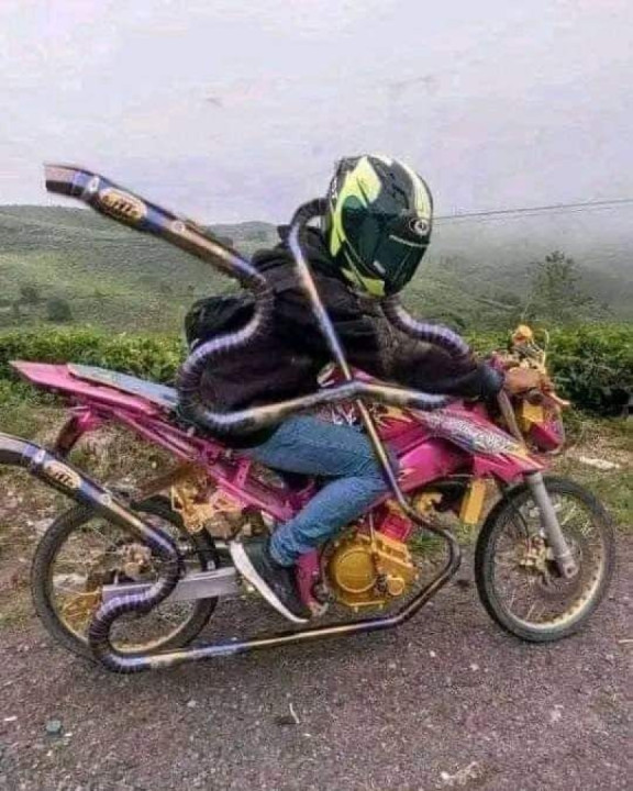 The world will judge you no matter what you do, so live the life you want ?