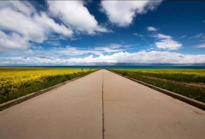 Road leading to Qinghai Lake