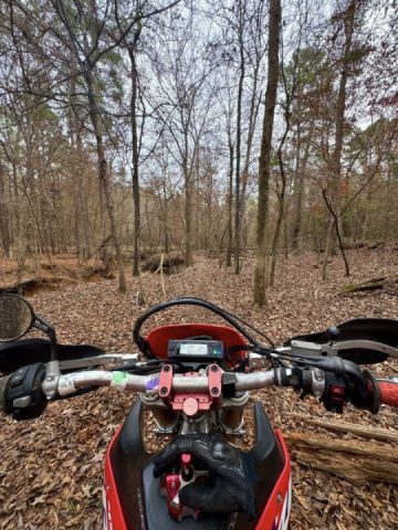 Bushwhacking in the hunt