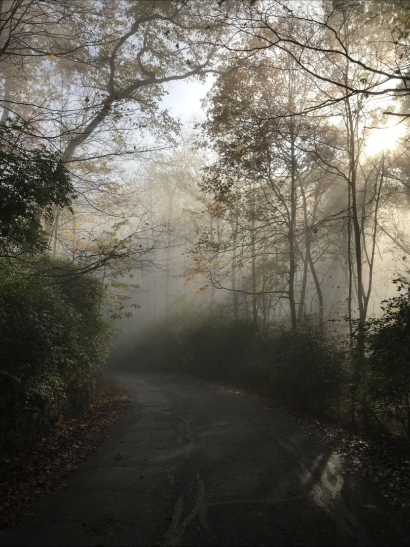 A foggy morning ride