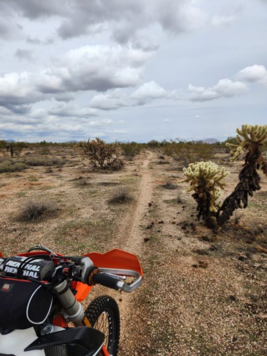 Got a Nice Local Ride in Today! Wet Sandy Soil, Cool Temps. 😎