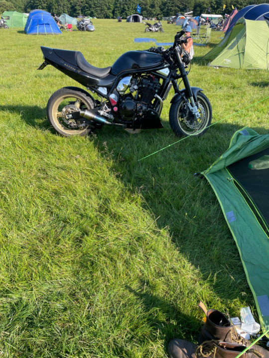 Farmyard last weekend