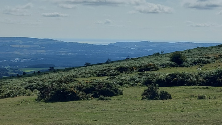 A View I never tire of. Teign estuary from the Top of Haytor.