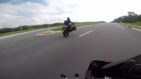 Wheelie happy Wednesday y'all