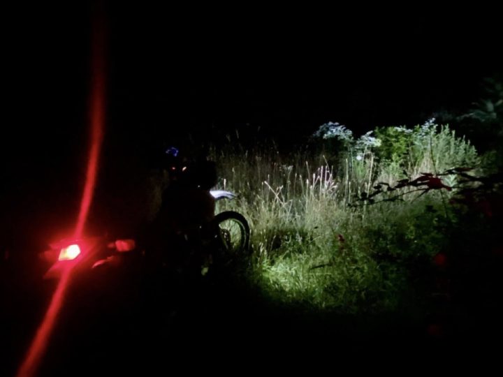 Another new discovery at night in the hood