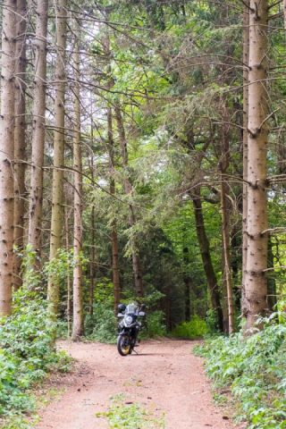 Into the Woods...and then...hot curd cheese strudel