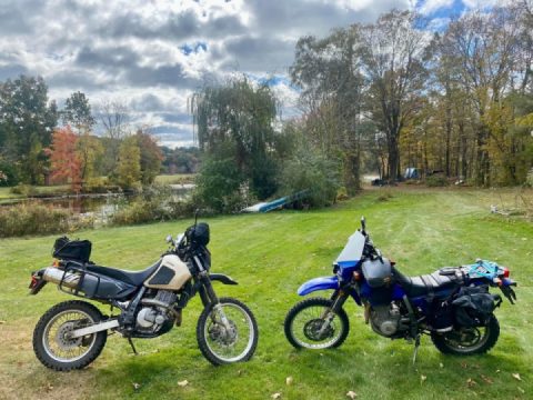My bikes in my backyard