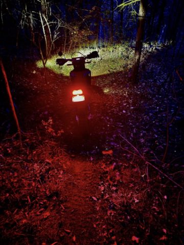 Night rider