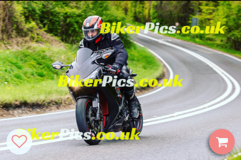 Chilling out in the Hampshire countryside