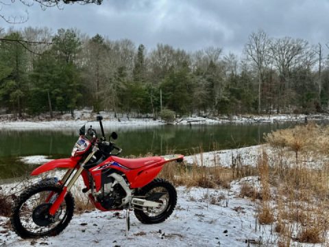 I just wanted to introduce myself and share a photo I took 