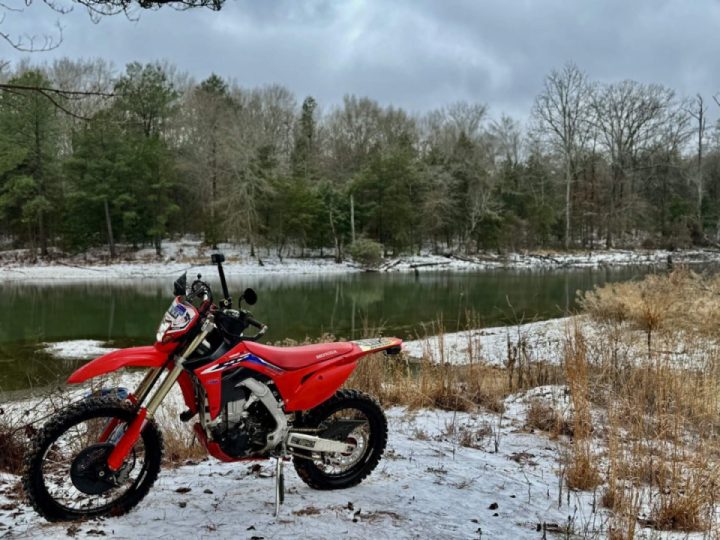 I just wanted to introduce myself and share a photo I took 🤣