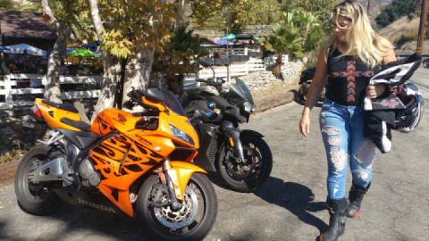 Cook's Corner...great grub.