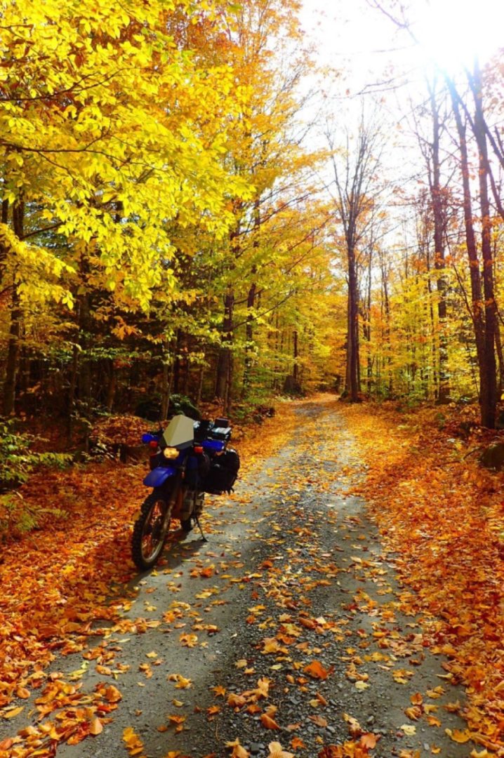 More Autumn please