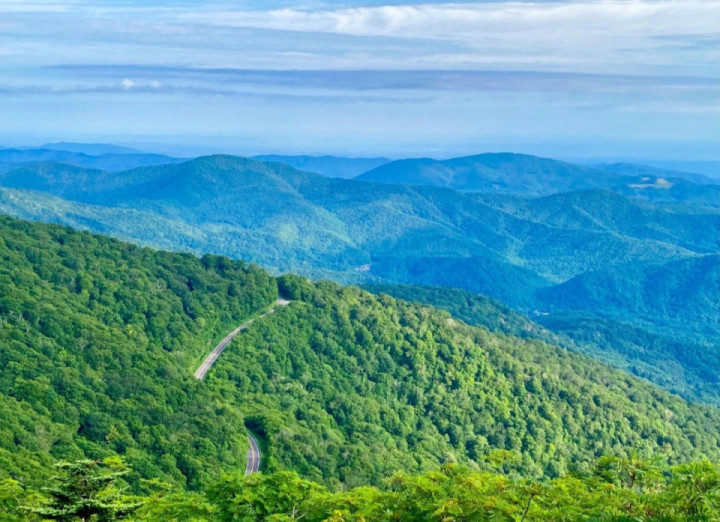 A view of Roan Road from Jane Bald, Cherokee National Forest, Tennessee