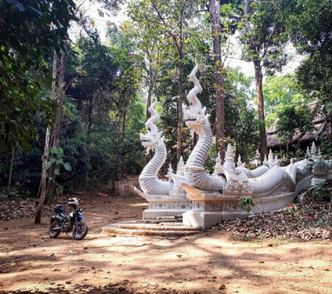 Off the Beaten Track...