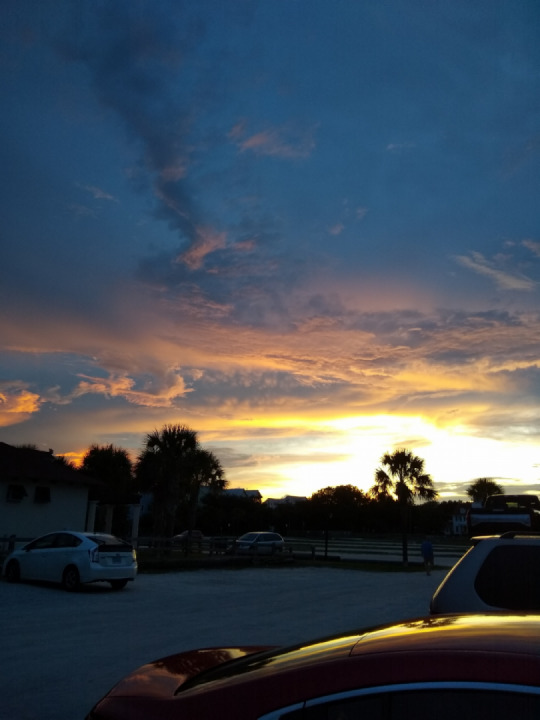 Anyone around woodbine area looking to ride?