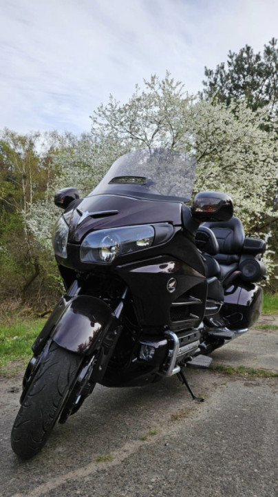 Spring is the best time of year