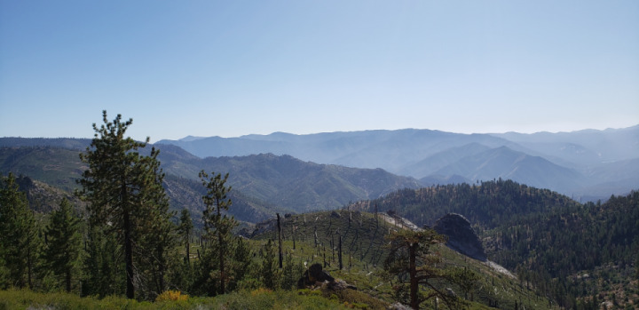 Took a trip up to Sequoia national park. had a blast in the beautiful California forest.