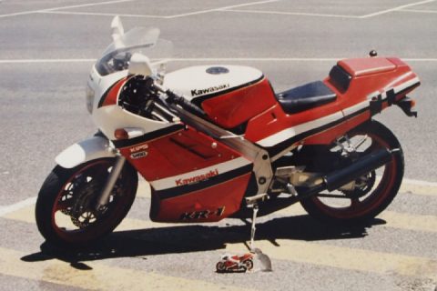 Back in 1990, I had a pet rat