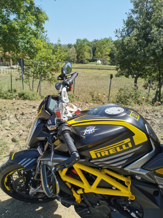 Our baby bumble bee ?