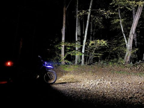 Carpe diem. A.M. and P. M.