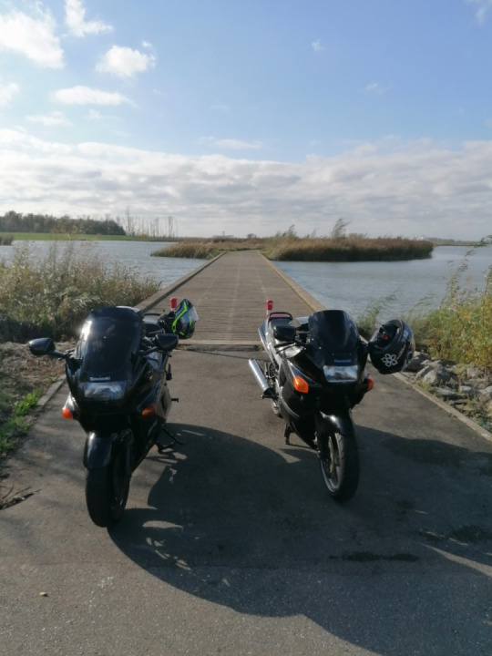 Tour around the Biesbosch