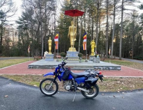Paulie P at the Peace Pagoda