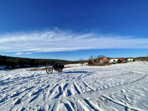 Tip-toeing through the snow