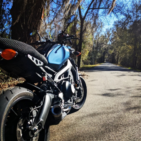 A lil action on MLK Day.