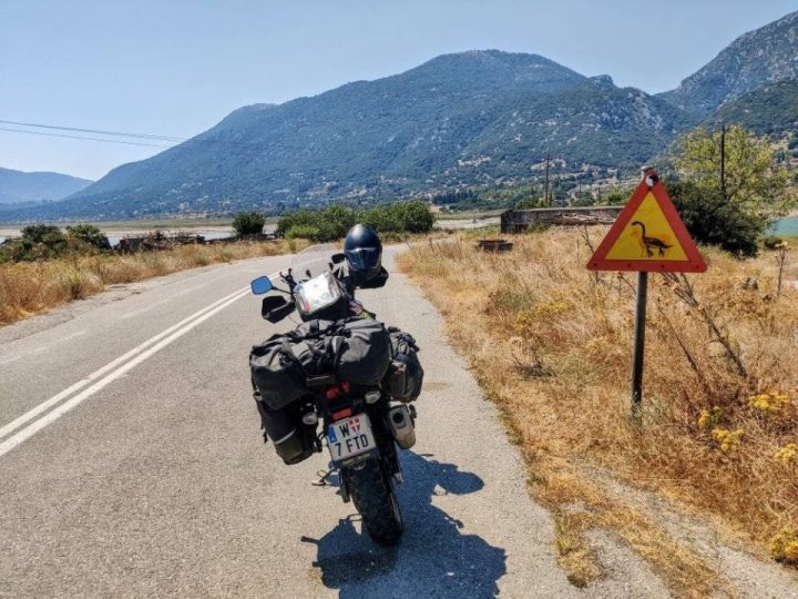 Wrong turn again? 