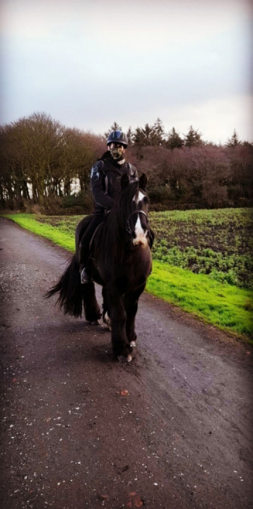 Another kind of horse power ?? enjoy the weekend ??