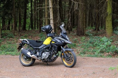 Into the Woods...and then...hot curd cheese strudel