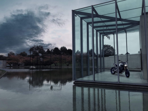 Ein paar Fotos von meinem Bae.. ?