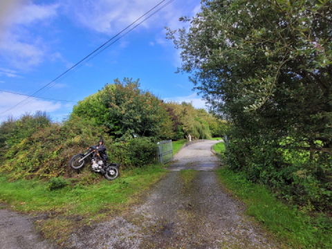 Someone has already started preparations for Halloween