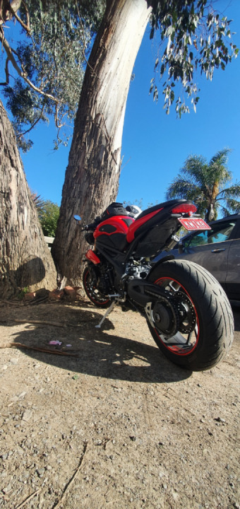 Sunny day in Melbourne, first ride I've been able to do in weeks. So good to be out.