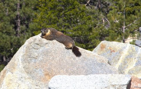 Today's ride was a bit shorter than I planned