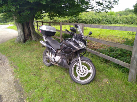 She's a country girl at heart