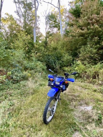 Da’ Spencery roots