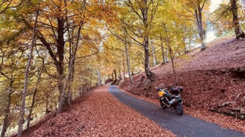 Autumn, the 