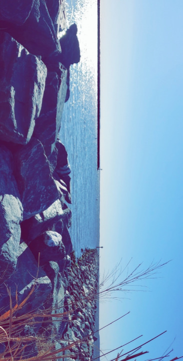 We had a tease of warm weather and I want it back ☹