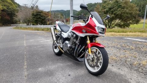 Patrol finished! The leaves are turning red~